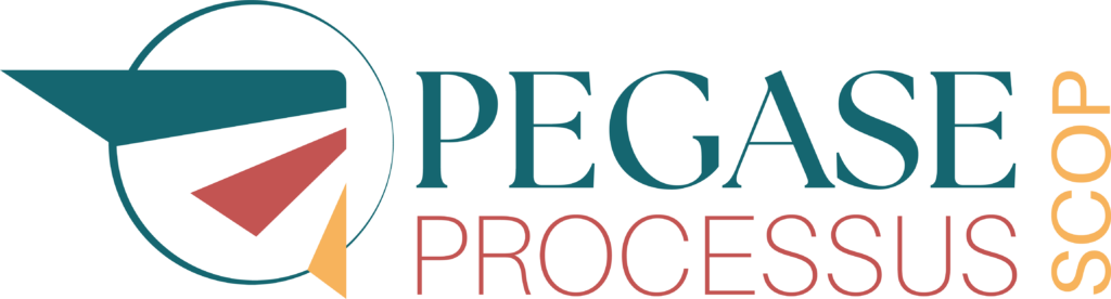 Logo de PEGASE processus
