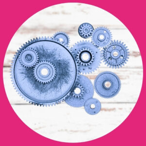 codeveloppement-coaching-équipe-intelligence-soutien-entraide-groupe-collective-solution-entrepreneur-dirigeant-manager-codev-rennes-35